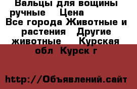 Вальцы для вощины ручные  › Цена ­ 10 000 - Все города Животные и растения » Другие животные   . Курская обл.,Курск г.